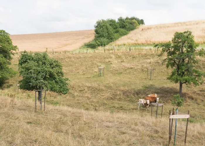 فندق Thome نيدغن