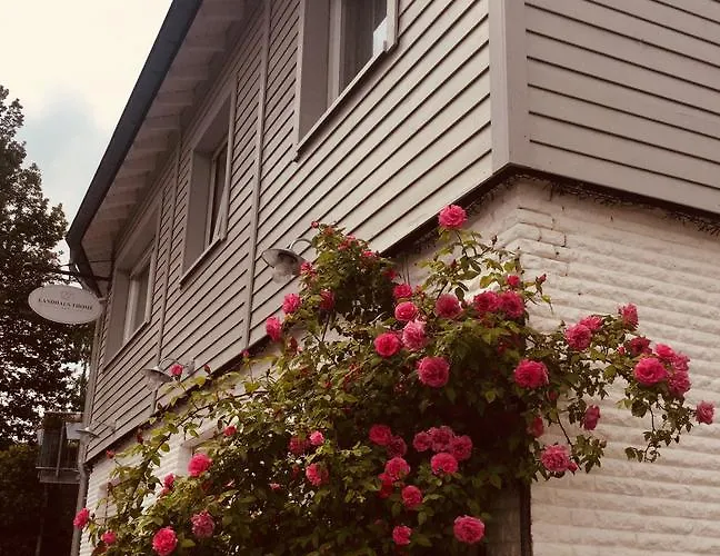 فندق Thome نيدغن